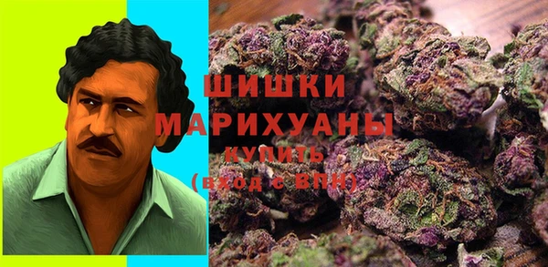 первитин Няндома