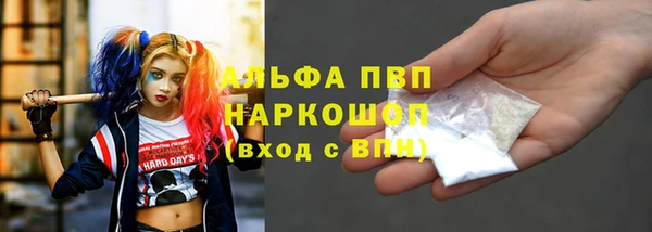 PSILOCYBIN Верея