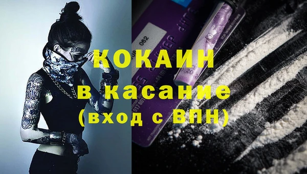 PSILOCYBIN Верея