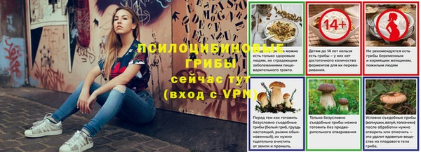 PSILOCYBIN Верея