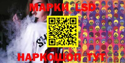 mdpv Гатчина