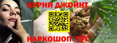 mdpv Гатчина