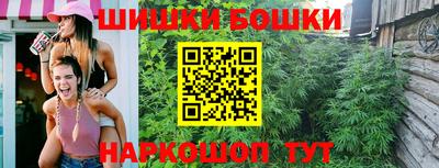 mdpv Гатчина