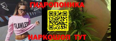 спайс Гай