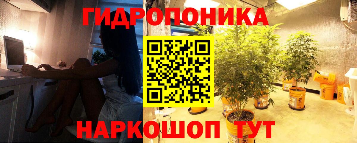 Конопля SATIVA & INDICA Вольск